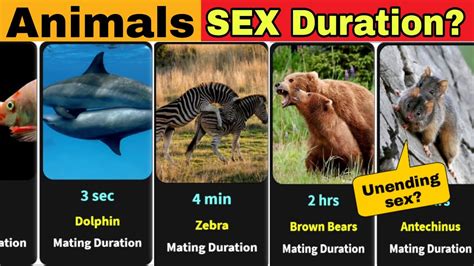 animal porna|Longest Animal Porn Videos .